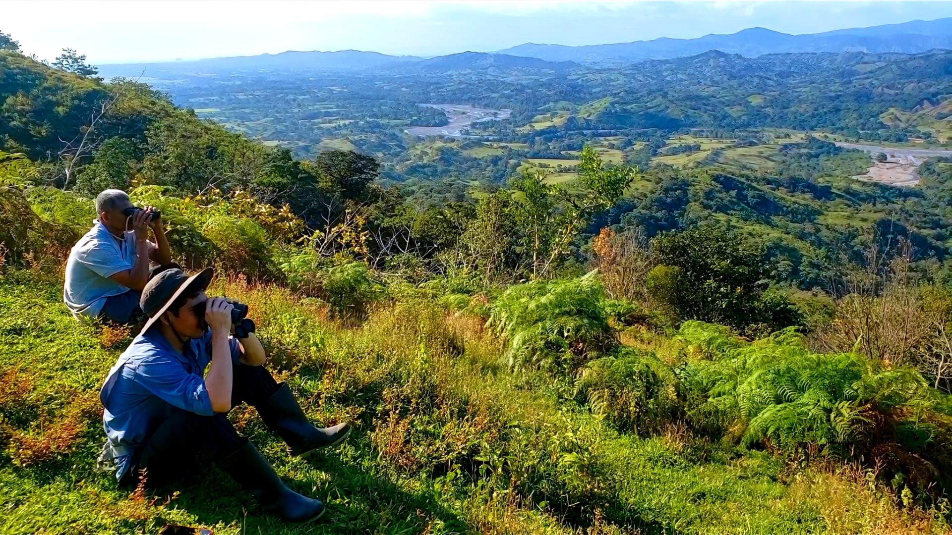 Blog Hero Background