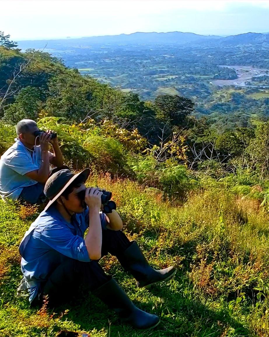 Blog Hero Background