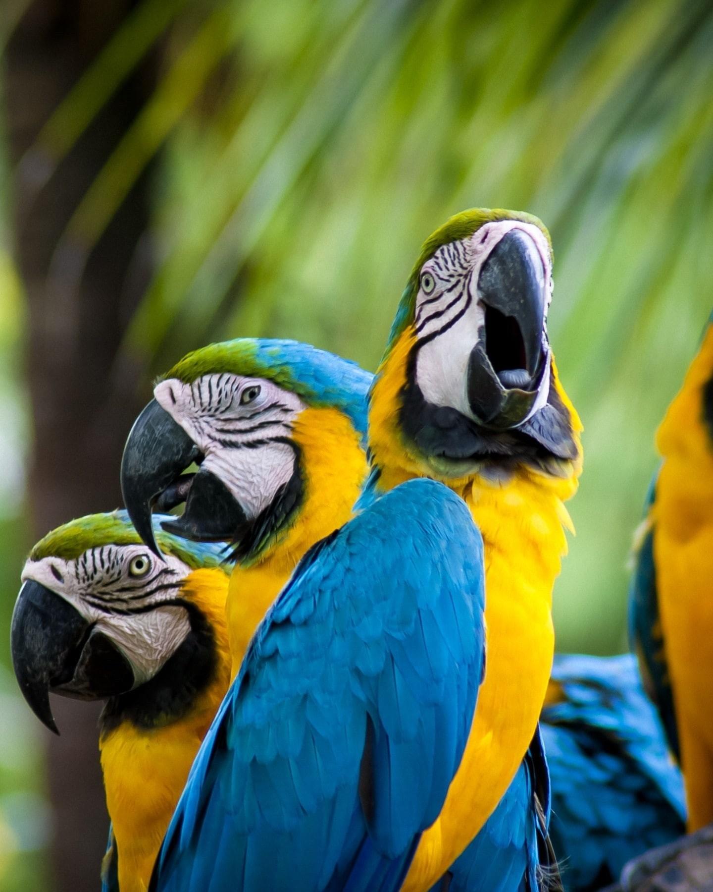 Equipo de conservacion PWC