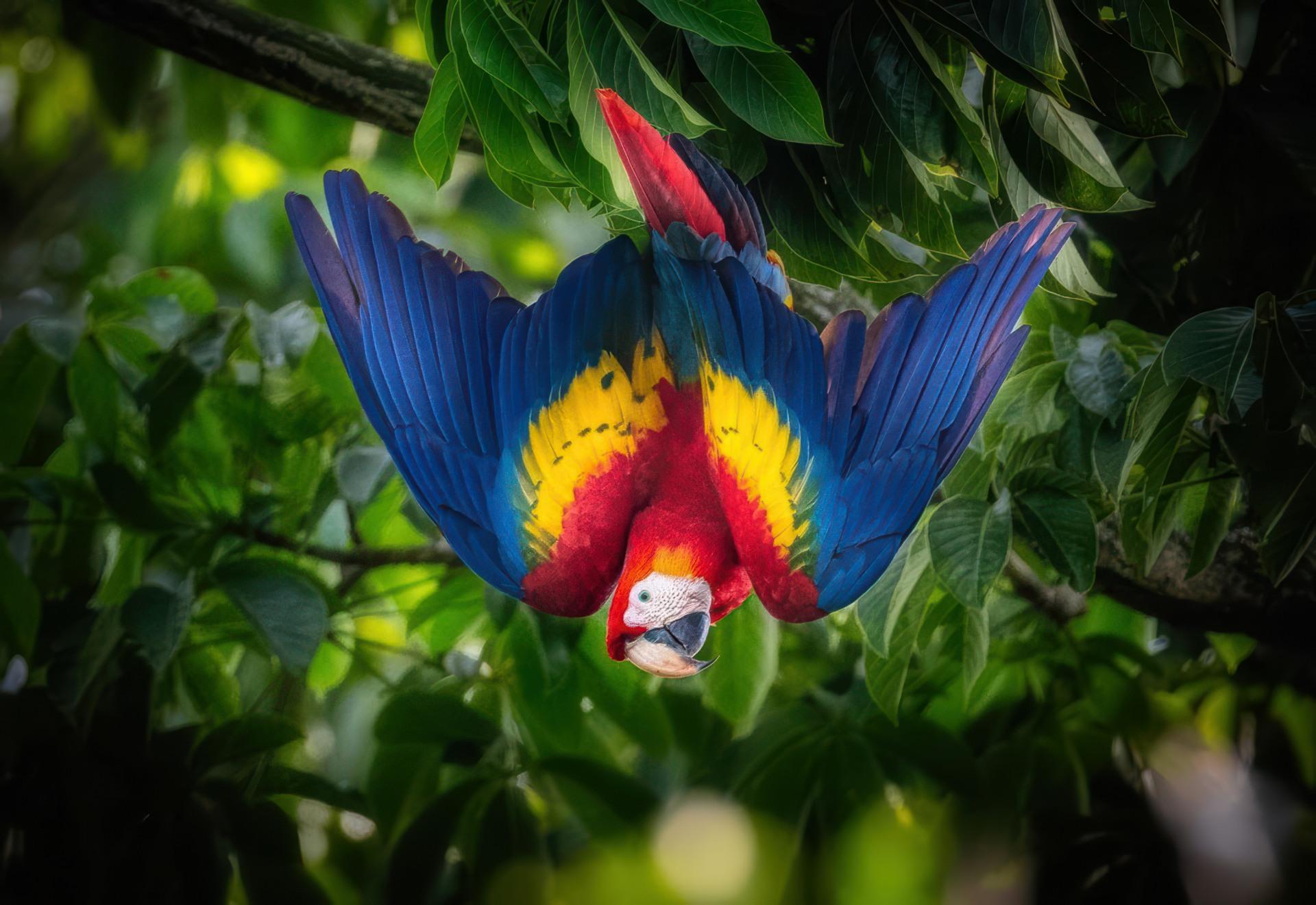 Donate Hero Background