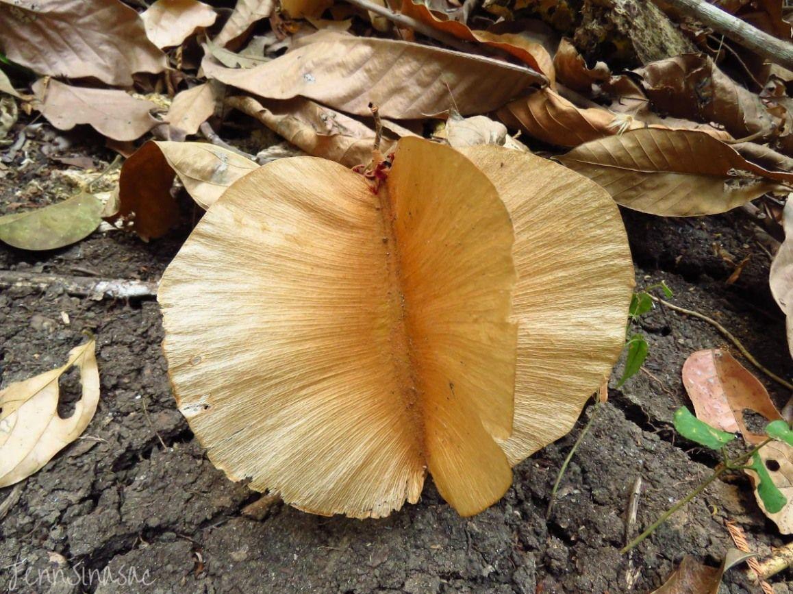 Captura de pantalla 2026-04-05 162413.jpg