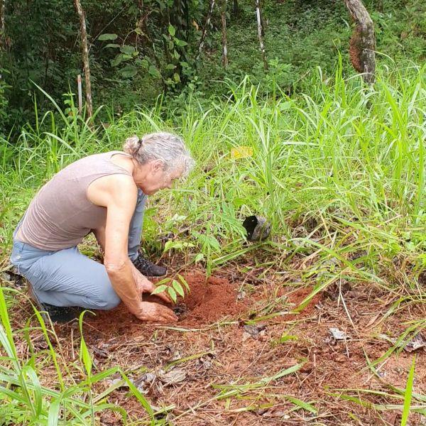 Conservation work in Panama