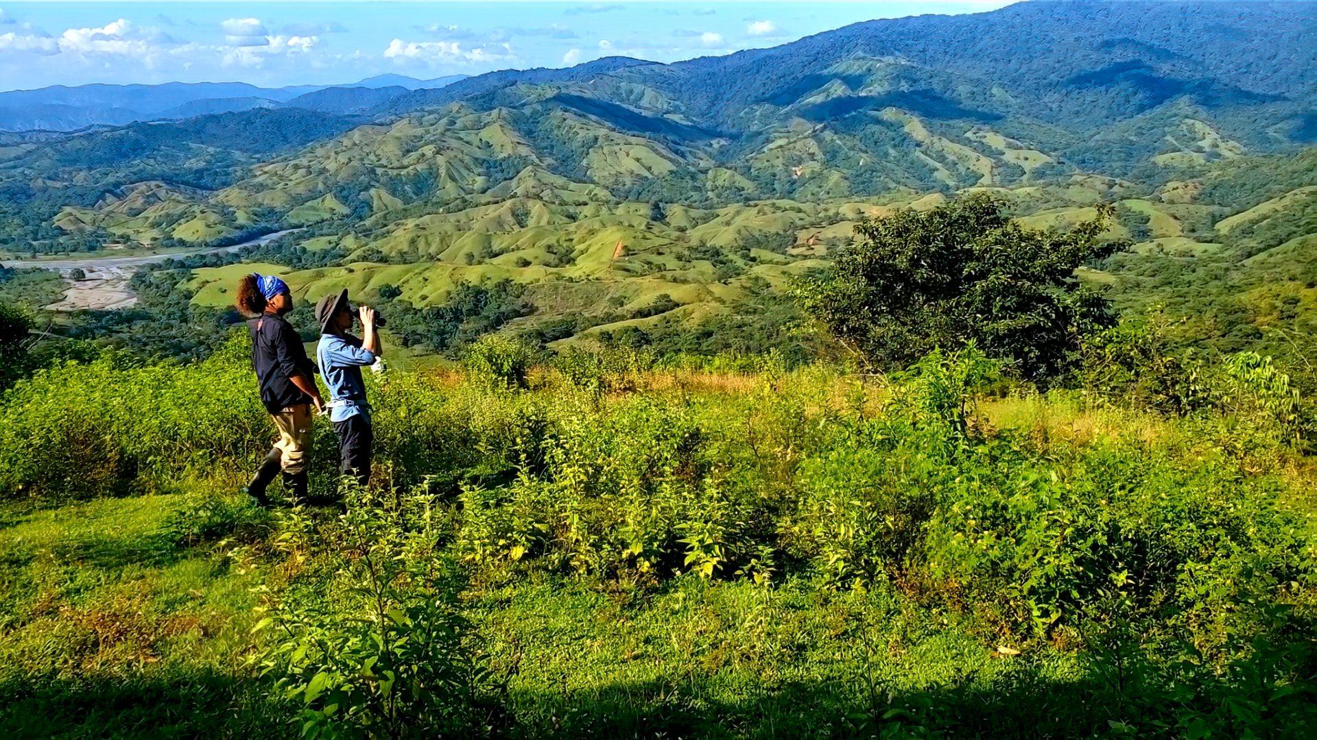 Team working in conservation