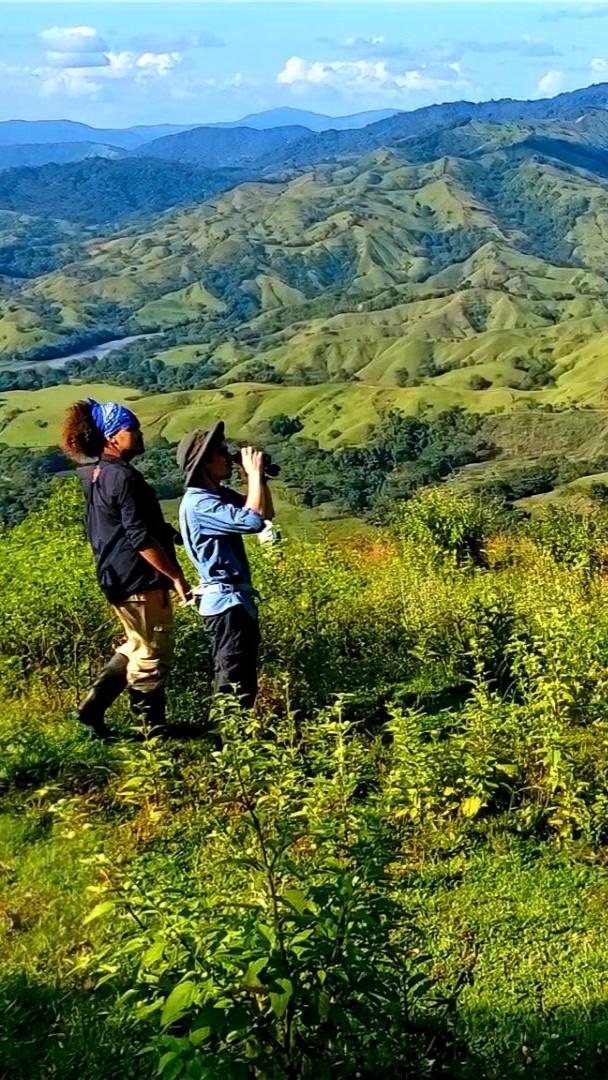 Team working in conservation