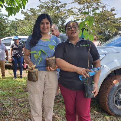 Ecological restoration