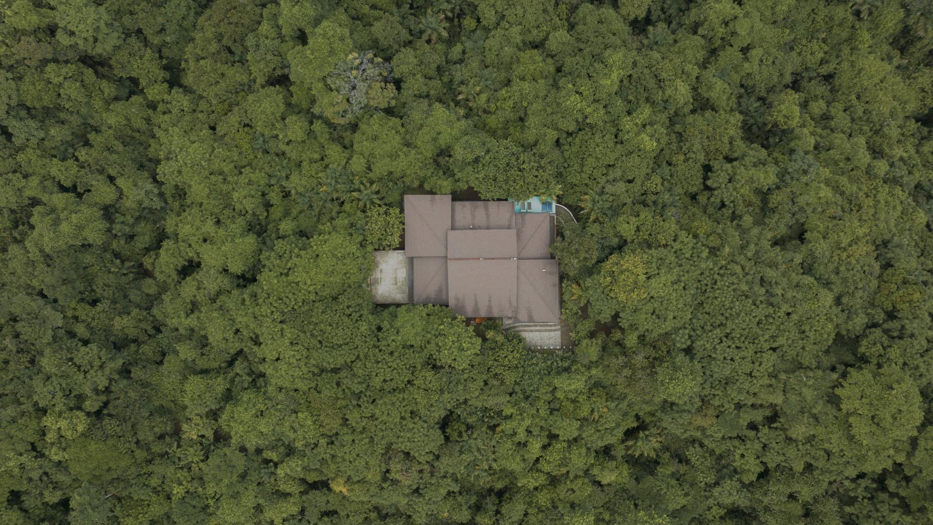 Liquid Jungle Lab Hero