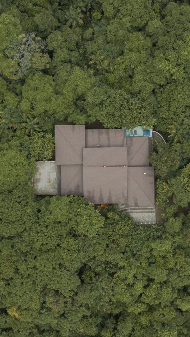 Liquid Jungle Lab Hero