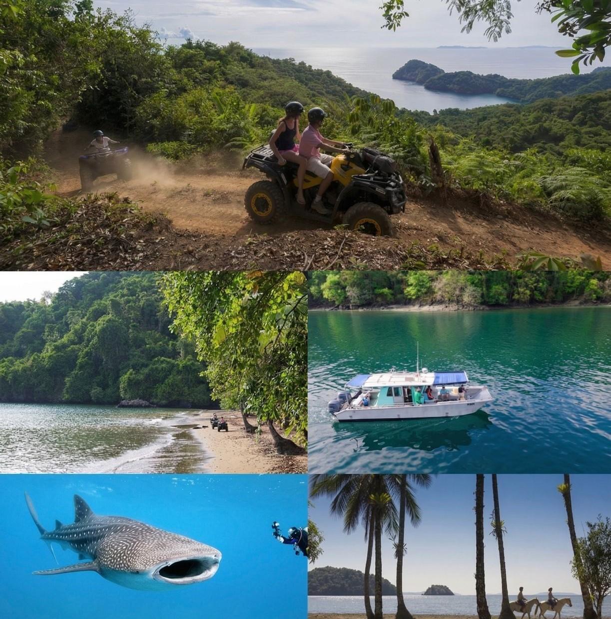 What Is Liquid Jungle Lab?