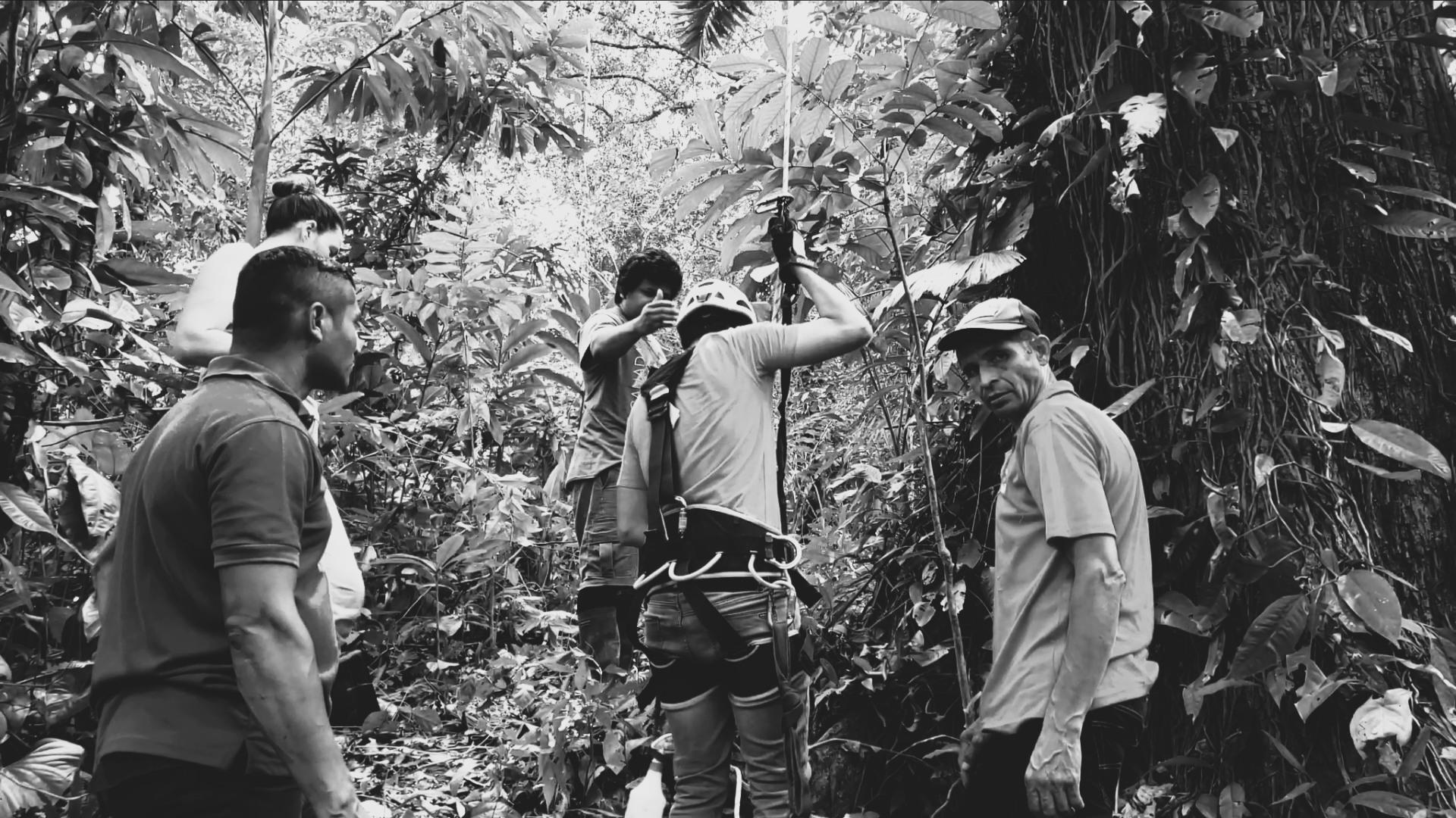 Volunteers in the field