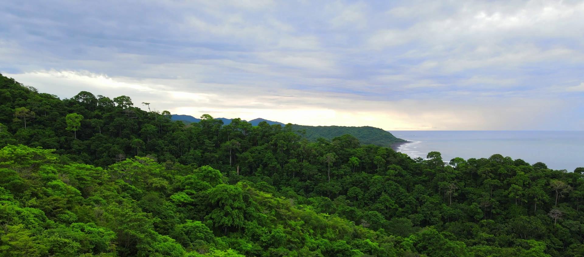 Newsletter background