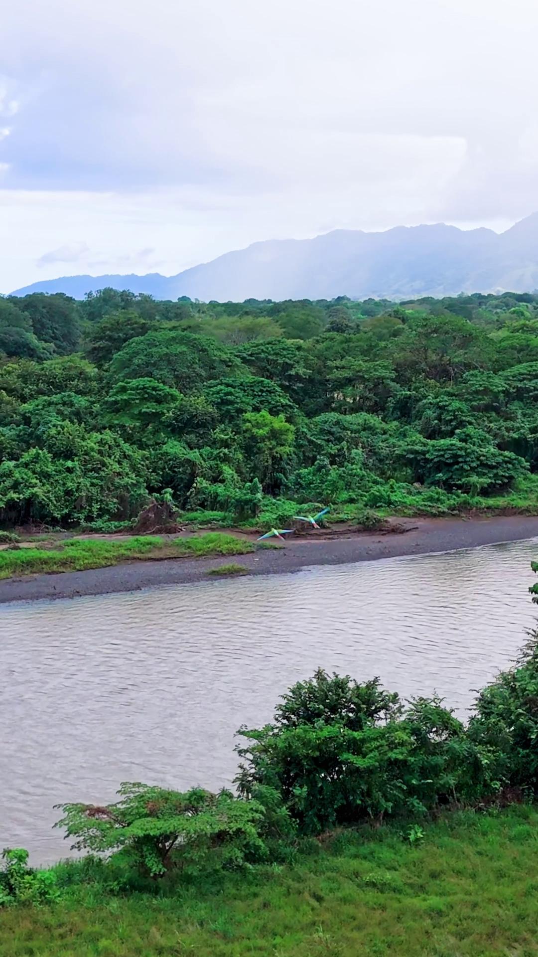 Newsletter background