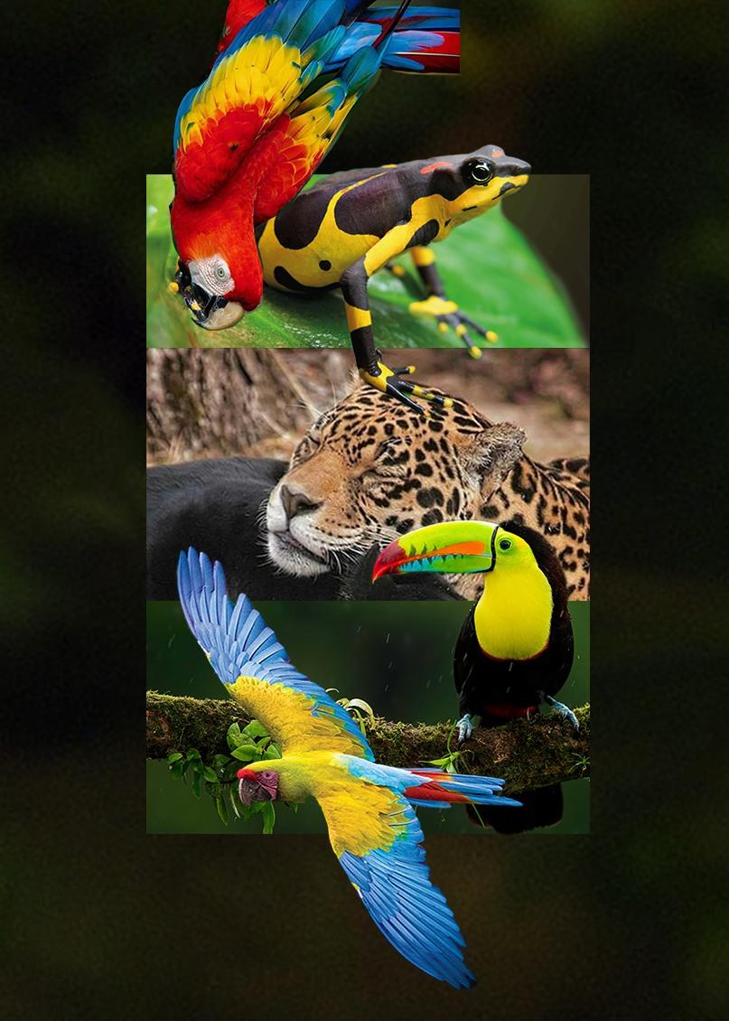 Equipo de conservacion en campo