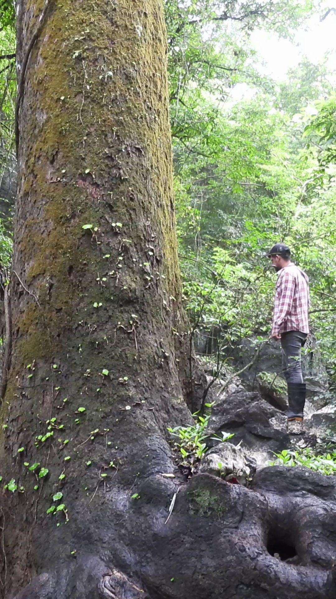 Actividad educativa con escolares