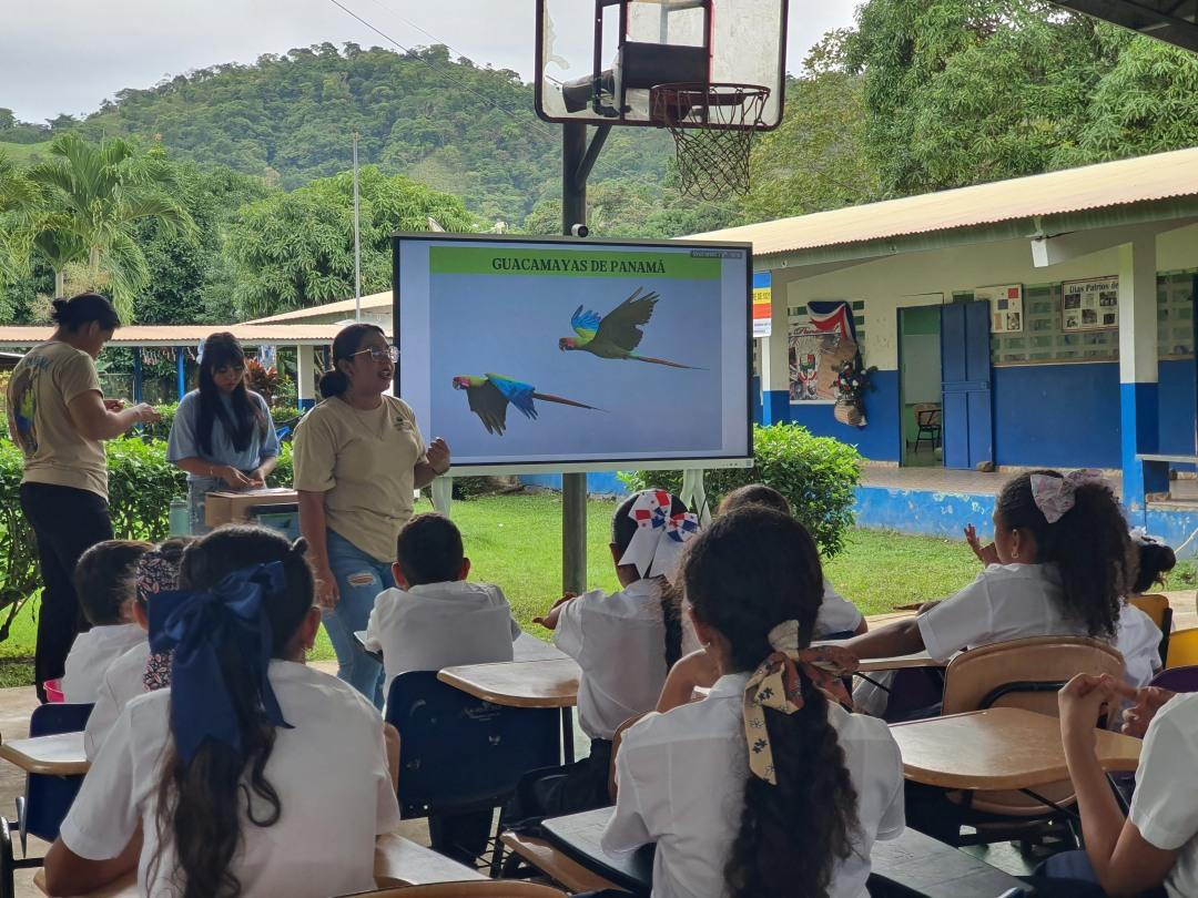 Educacion ambiental en escuelas