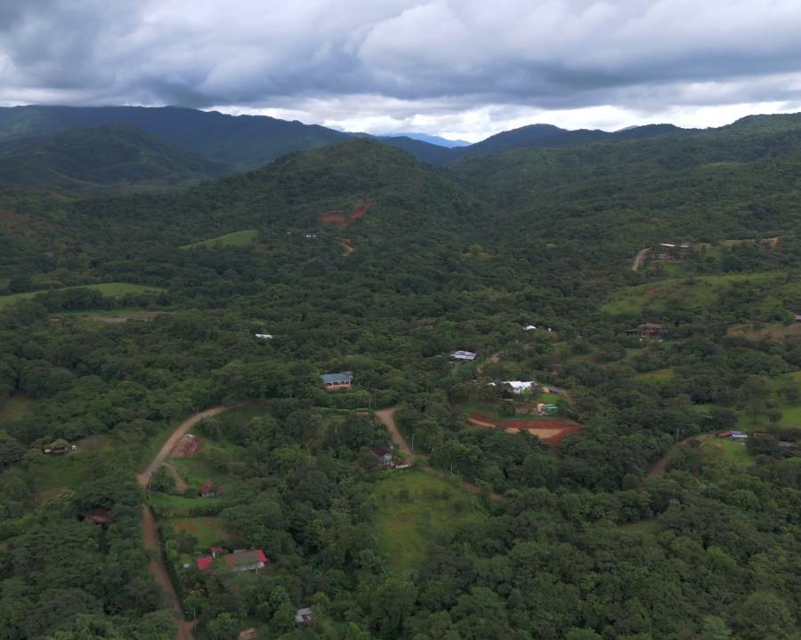 Restauracion de habitat en Torio