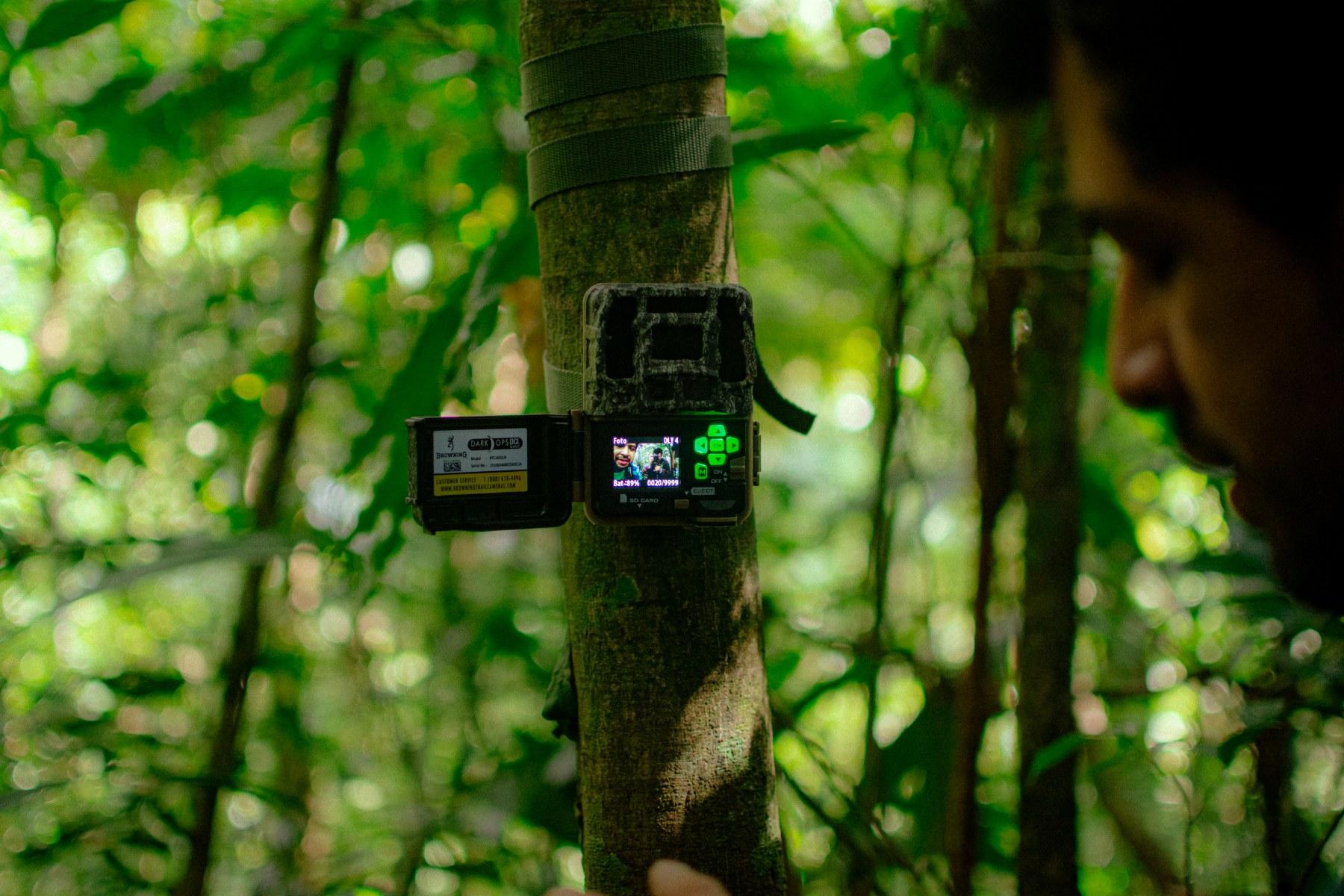 Camera trap setup