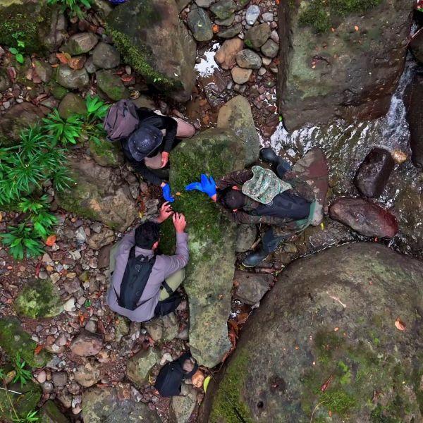 Community ecotourism