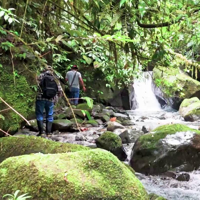 Riparian restoration