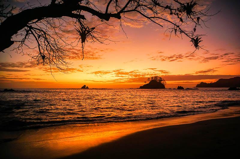 Visual hero: panoramica de bosque tropical de Cerro Hoya