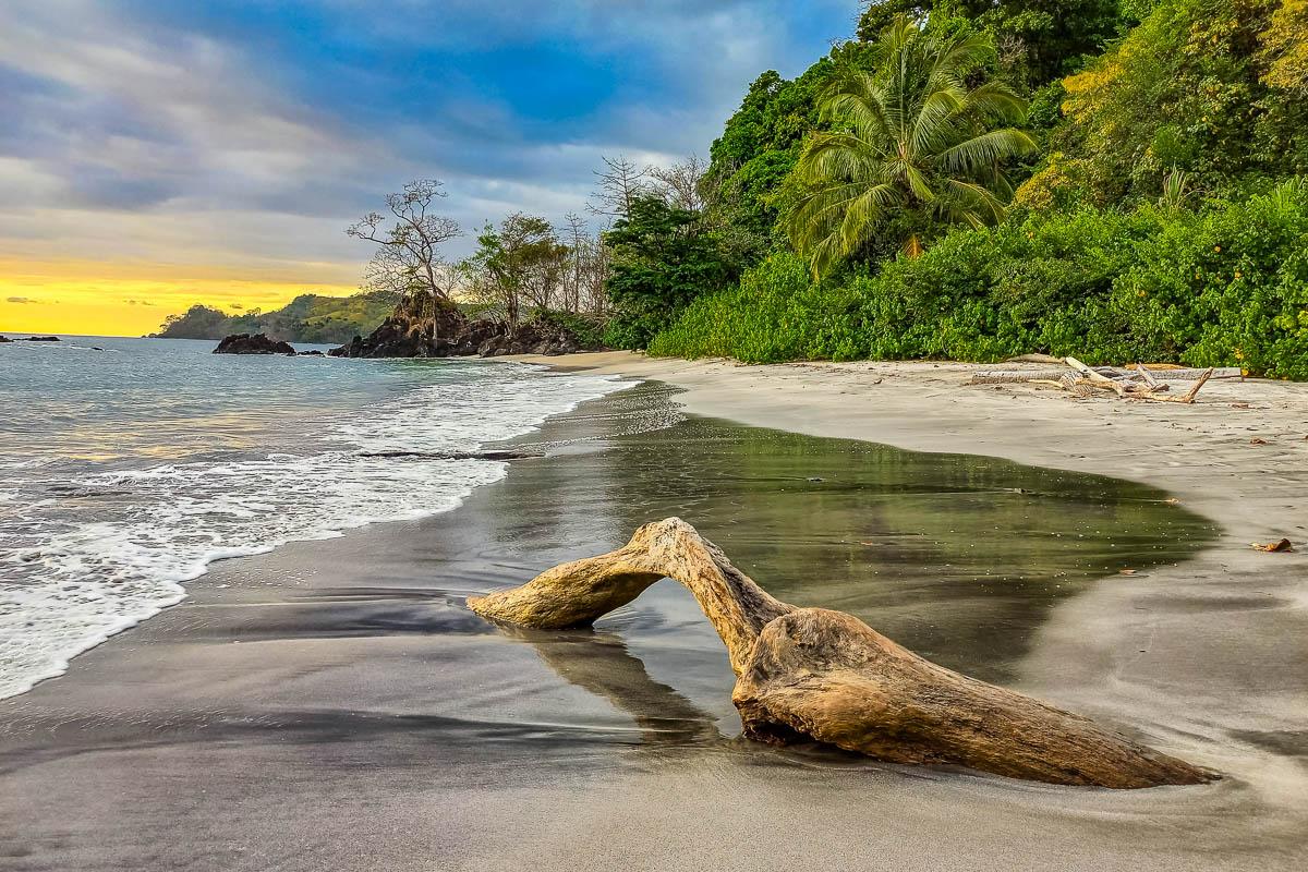 Imagen ilustrativa 2