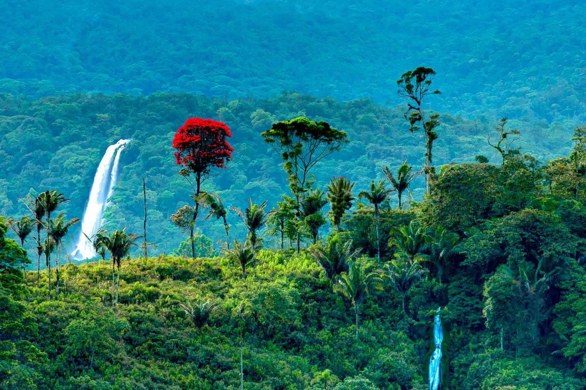 Imagen ilustrativa 2