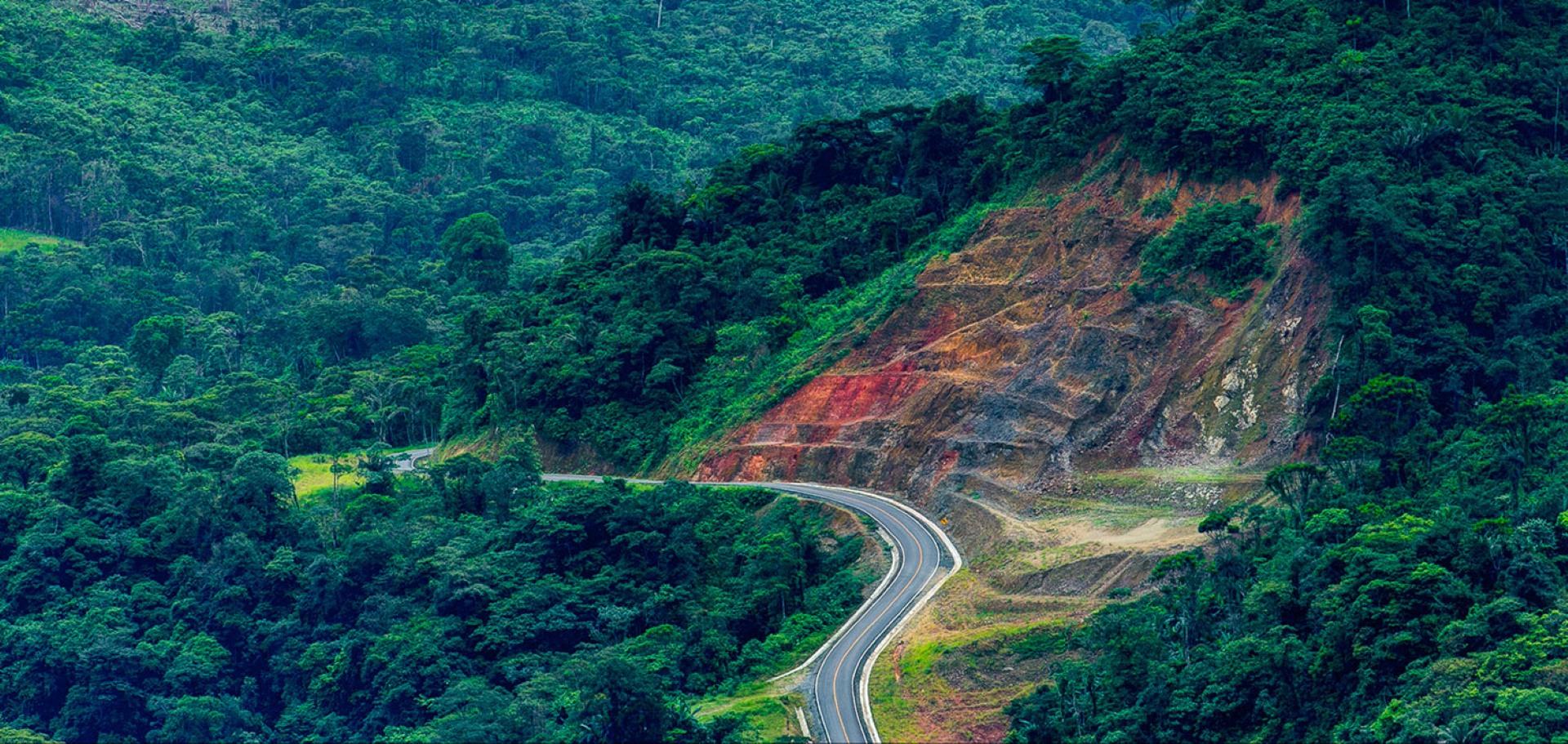 Imagen ilustrativa 1