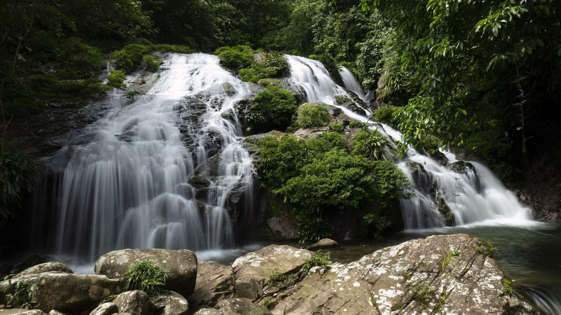Visual hero: bosque montano de Santa Fe