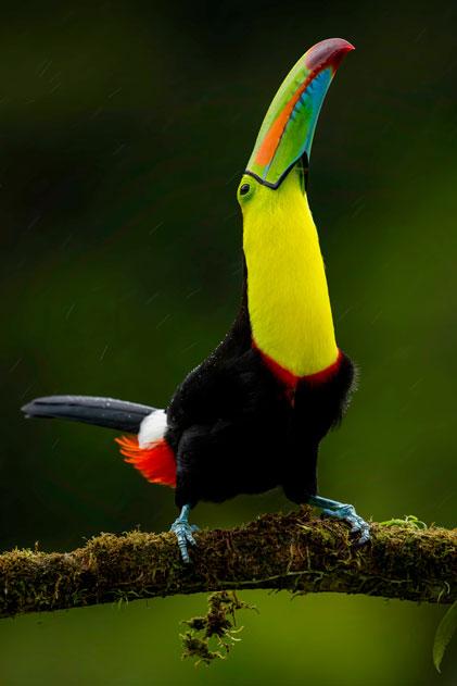 Parque Nacional Santa Fe feature image 1